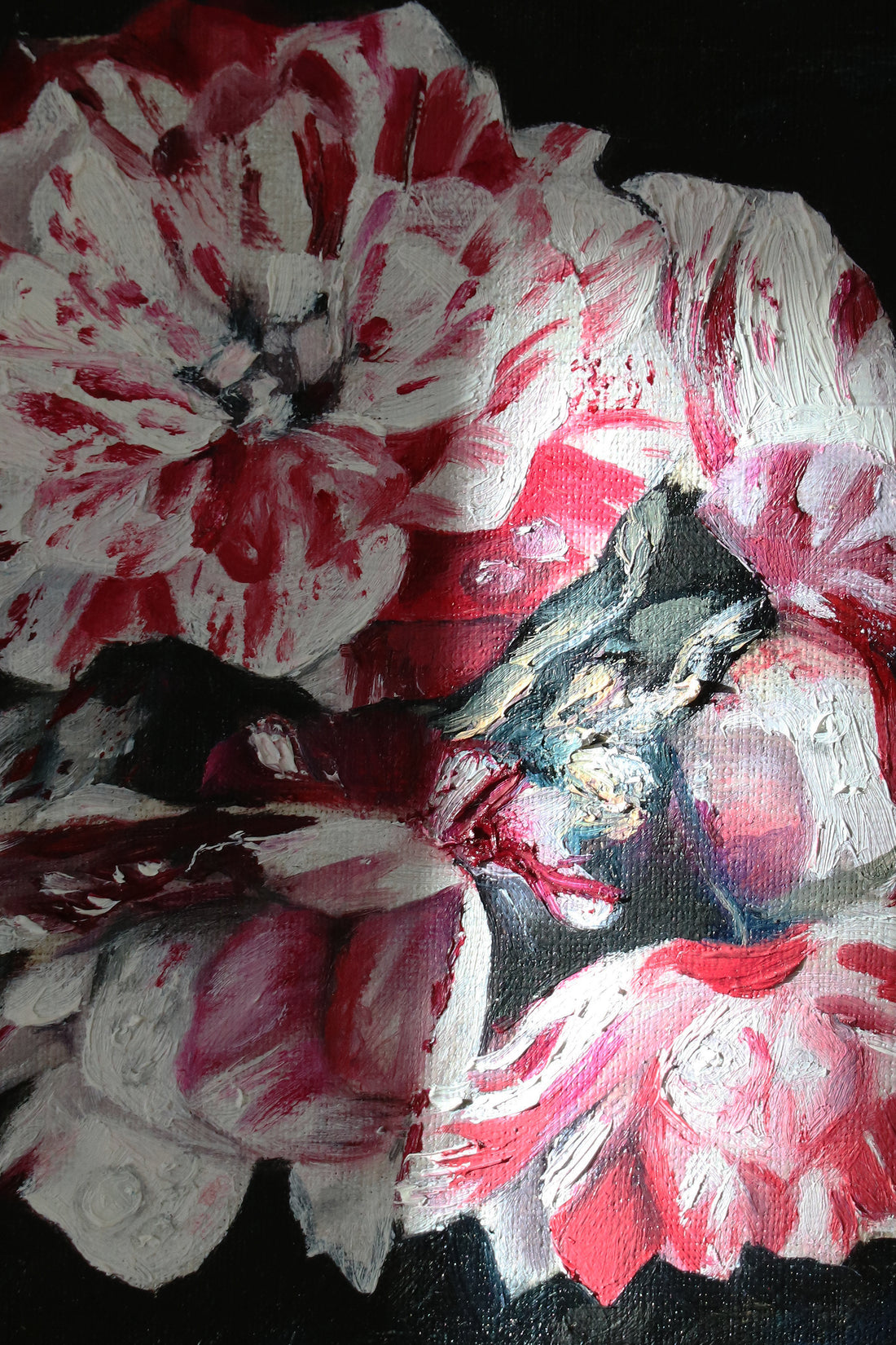 Candy Stripe Peony - Miaaurei - Oil Painting on Linen - 2018