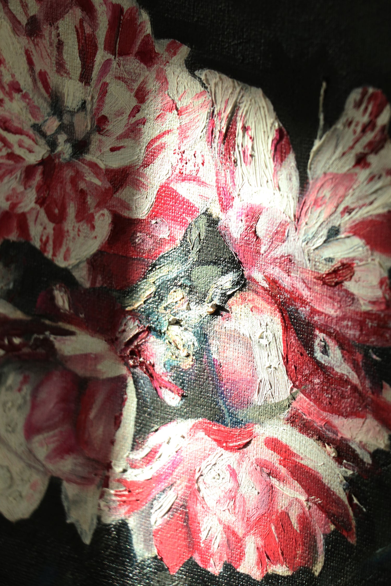 Candy Stripe Peony - Miaaurei - Oil Painting on Linen - 2018