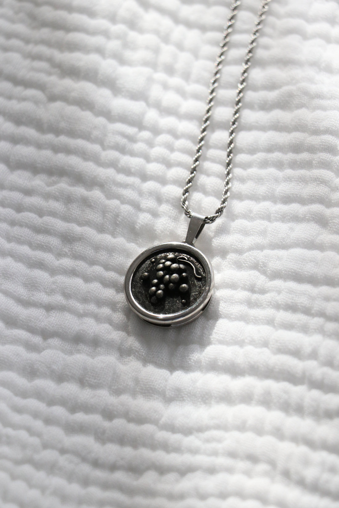 Grapes Coin Pendant Necklace