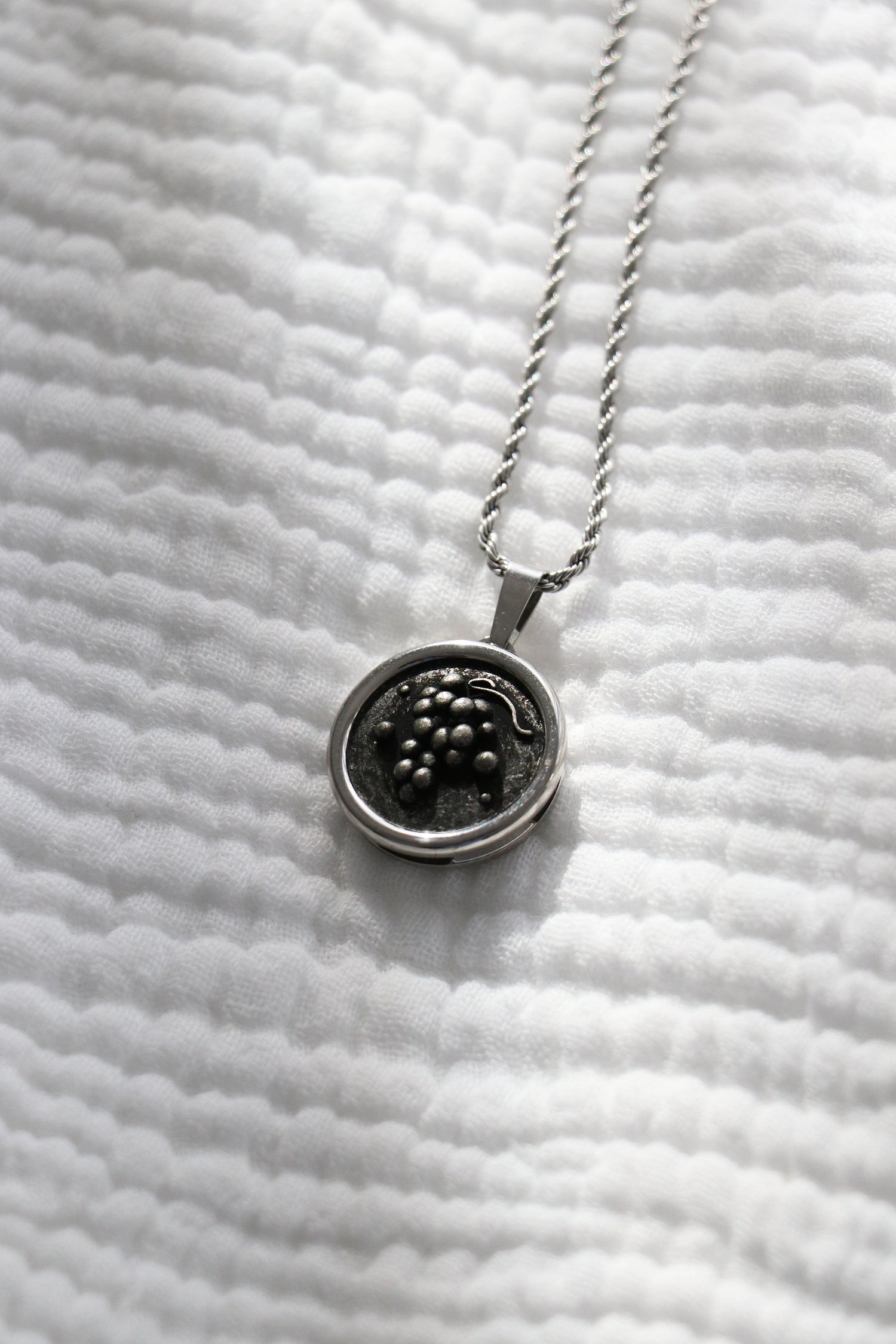 Grapes Coin Pendant Necklace