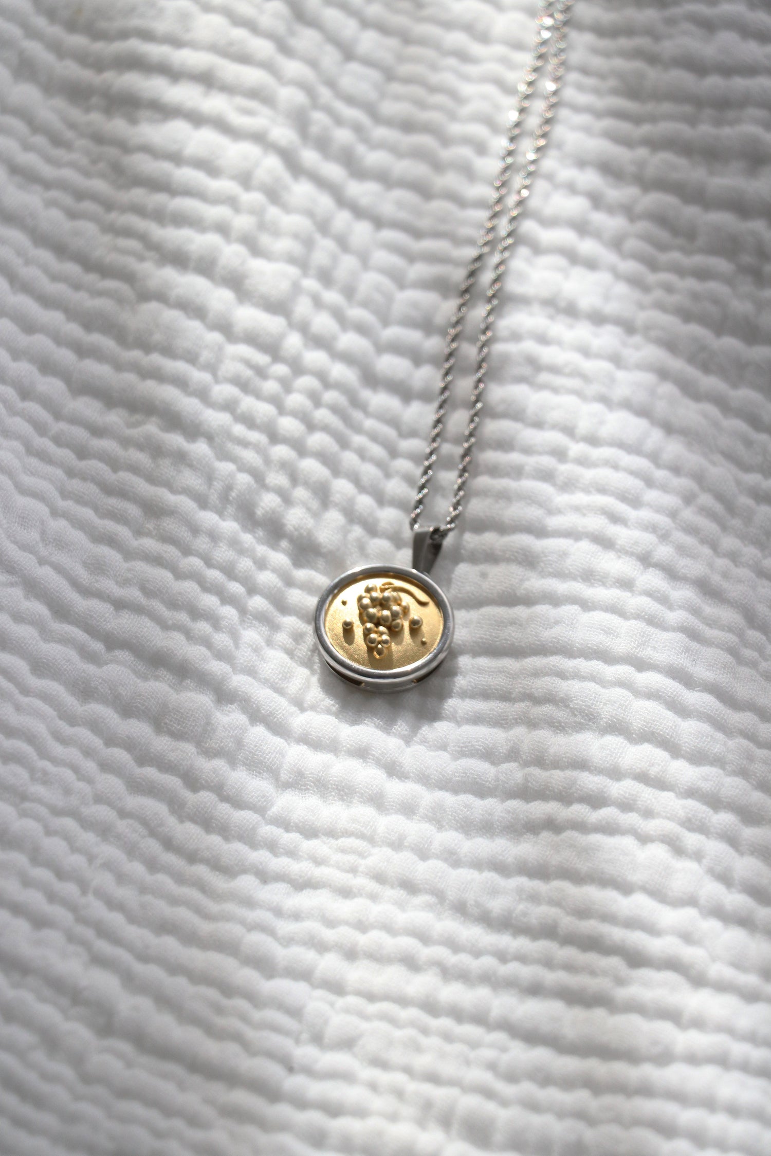 Grapes Coin Pendant Necklace