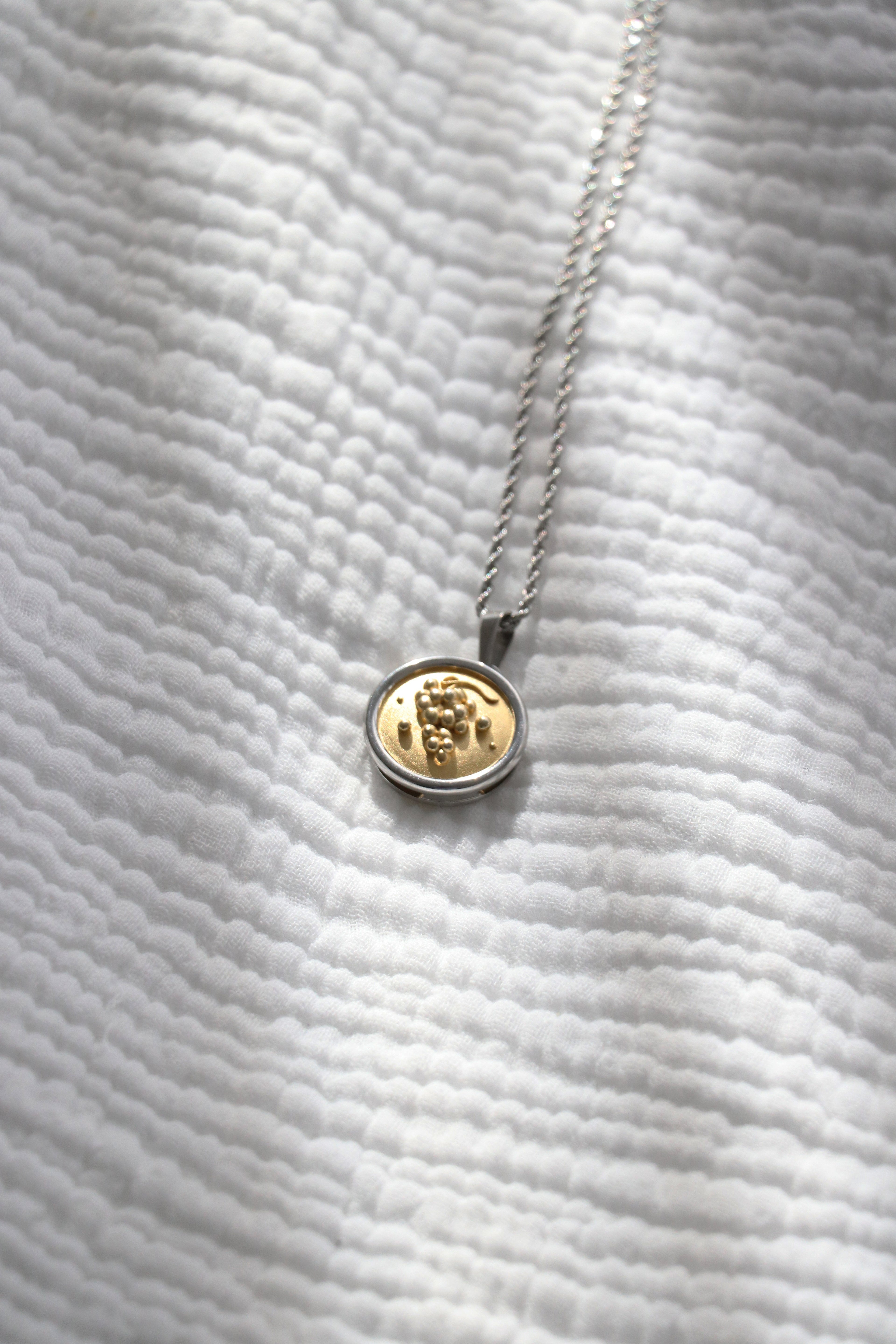 Grapes Coin Pendant Necklace