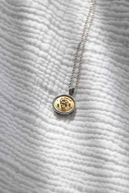Grapes Coin Pendant Necklace